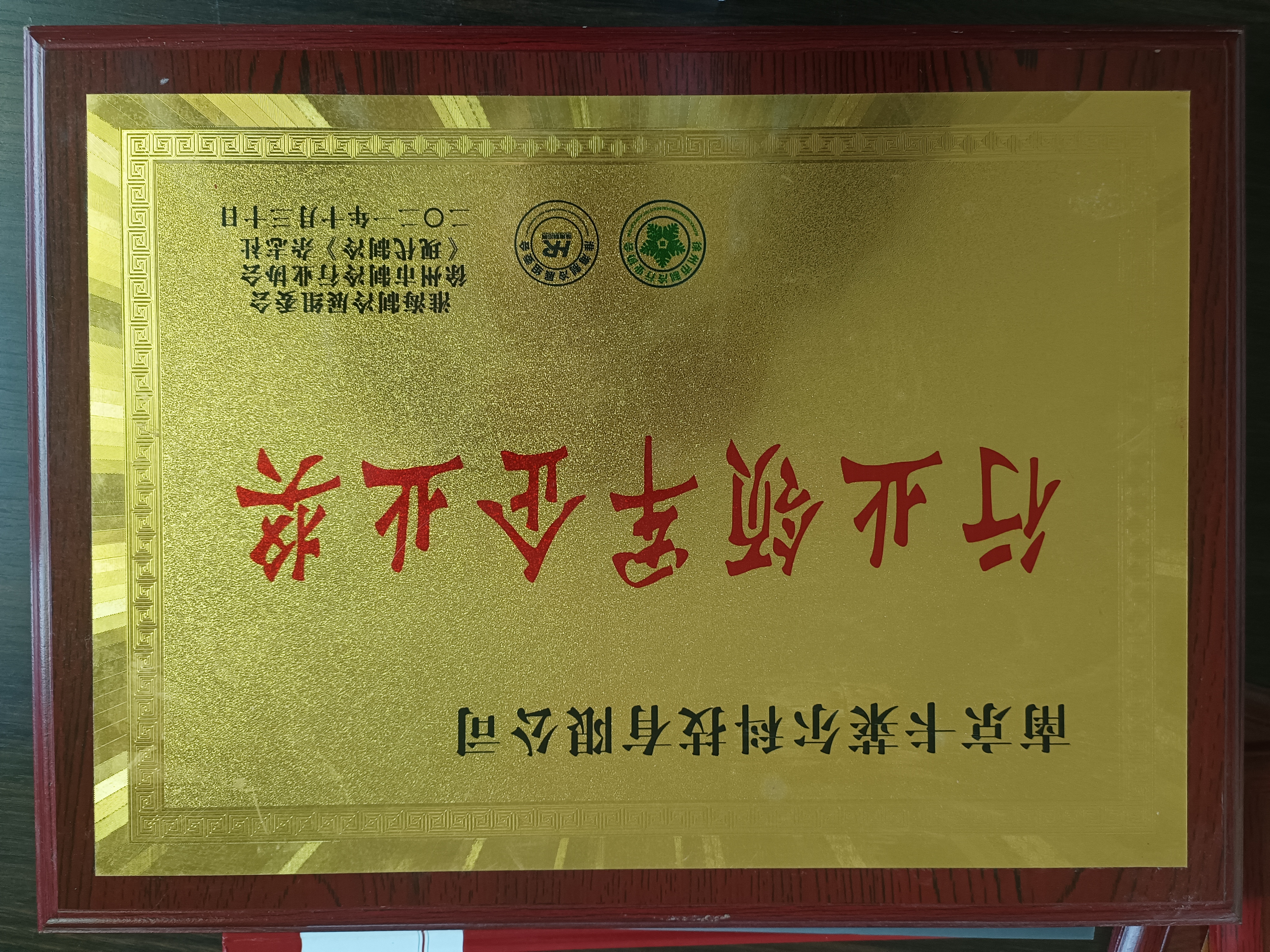 行業(yè)領(lǐng)軍企業(yè)獎(jiǎng)